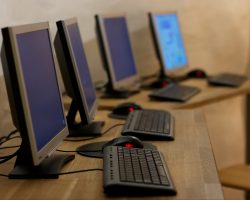 Sed blandit massa vel