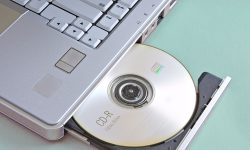 Etiam commodo convallis